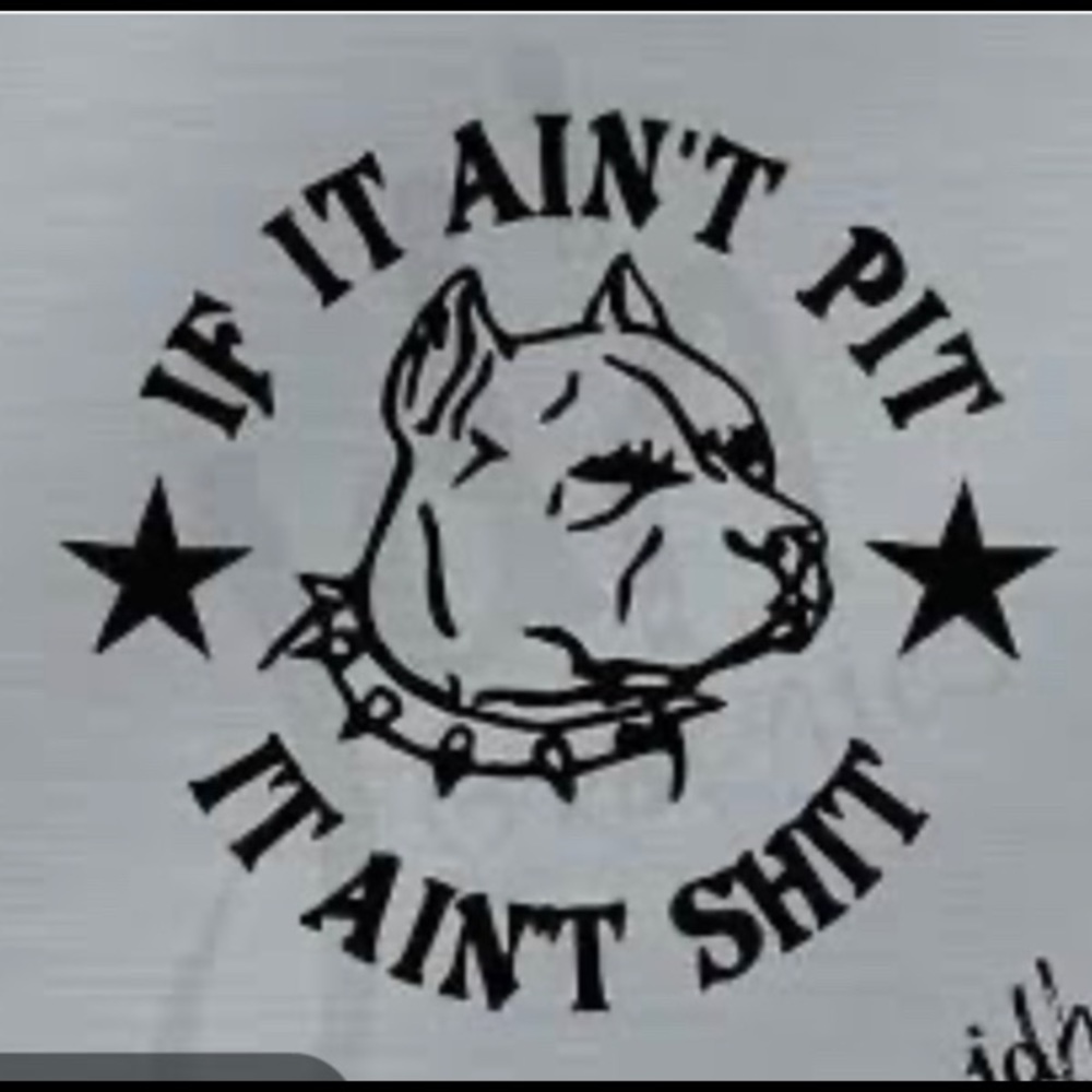 If It Ain’t Pit It Ain’t Sh*t 6 inch vinyl decal